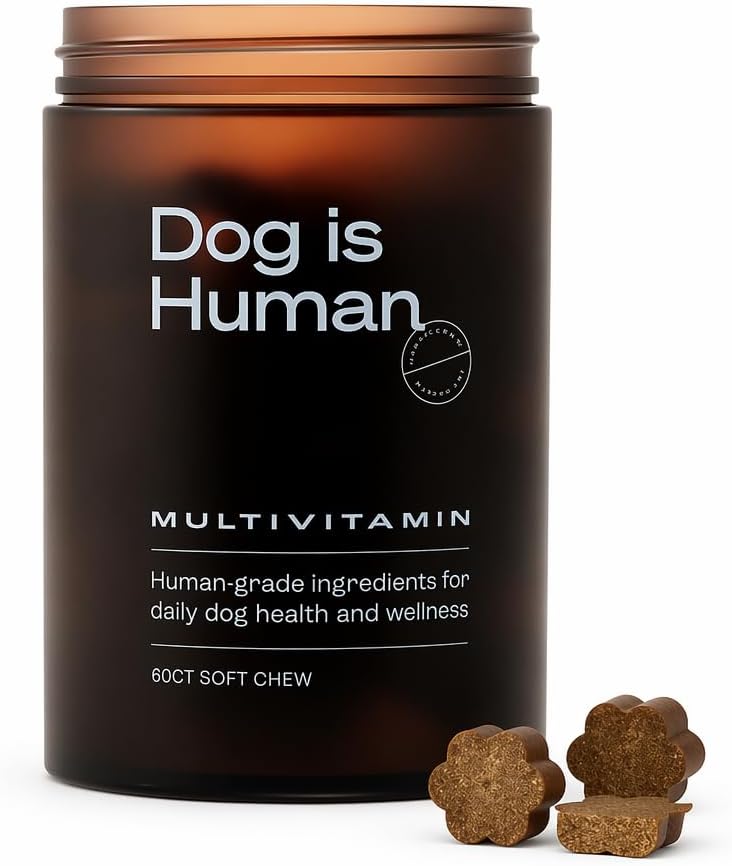 Dog is Human Beef Multivitamins for Dogs – Soft Chews, 60 Count