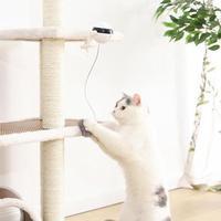 Pet Supplies collection featuring Pet Cat Toy Electronic Motion Cat Toy Interactive