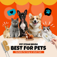 Steam Pet Grooming Brush – Rechargeable Deshedding Comb