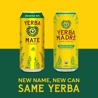 Guayakí Yerba Mate, Organic Energy Drink Alternative, Enlighten Mint, 150mg Natural Plant Based Caffeine, Better for You Energy & Focus, No Jitters or Crash, 15.5 Oz (Pack of 12) (Packaging May Vary)